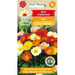 Toraf 0,3g Mak Syberyjski Mix Nasiona kwiatów wieloletnich Mieszanka kolorów Pachnące kwiaty