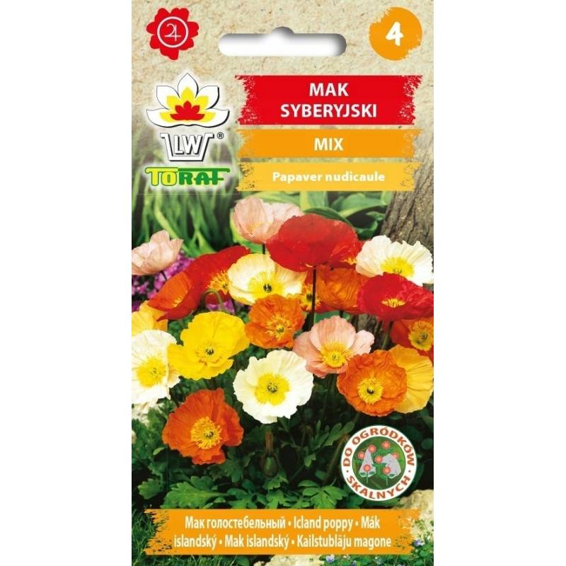 Toraf 0,3g Mak Syberyjski Mix Nasiona kwiatów wieloletnich Mieszanka kolorów Pachnące kwiaty