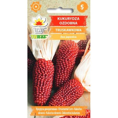 Toraf 2g Kukurydza Truskawkowa Nasiona ozdobna Ciekawy Kolor Bukiet
