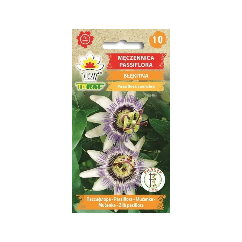 Toraf 0,2g Męczennica Pasiflora Marakuja pnącze Nasiona kwiatów jadalnych pnących