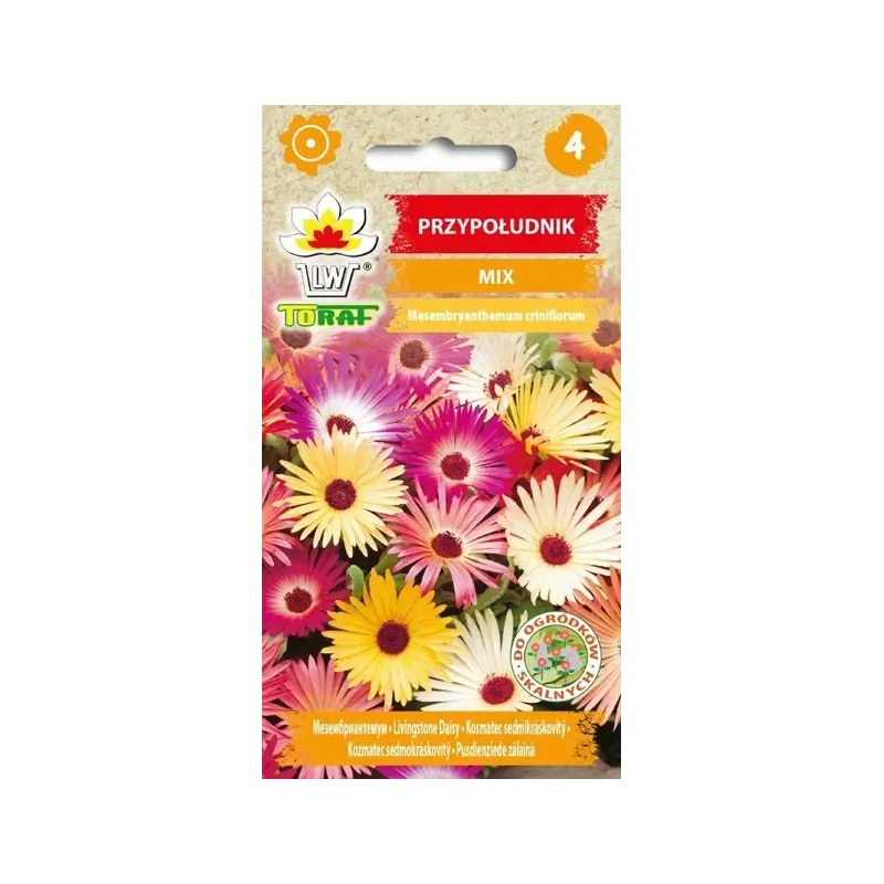 Toraf 0,5g Przypołudnik Nasiona kwiatów otwierających się na słońcu kwitnie do przymrozków
