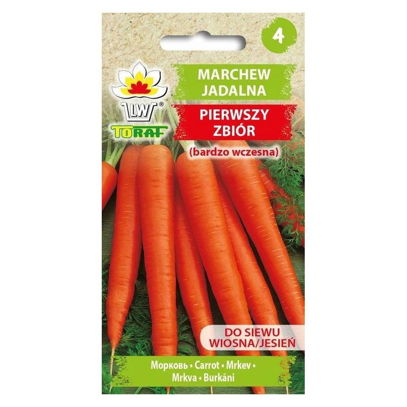 Toraf 5g Marchew Pierwszy Zbiór Bardzo Wczesna Nasiona warzyw do bezpośredniego spożycia