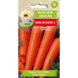 Toraf 5g Marchew Berlicumer 2 Nasiona warzyw Odmiana późna gruntowa Długie przechowywanie