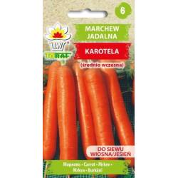 Toraf 5g Marchew Karotela Nasiona warzyw Odmiana średniowczesna Typ nantes Przetwory domowe Soki
