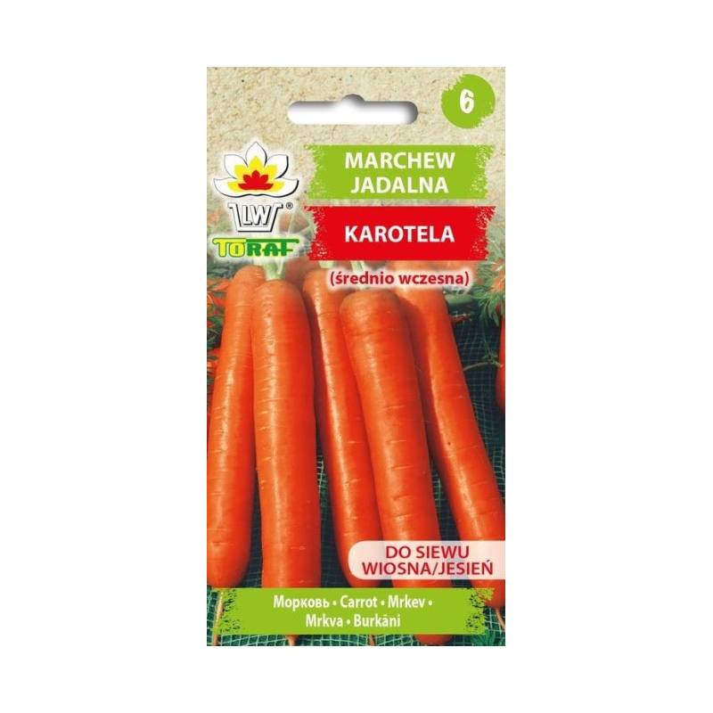 Toraf 5g Marchew Karotela Nasiona warzyw Odmiana średniowczesna Typ nantes Przetwory domowe Soki