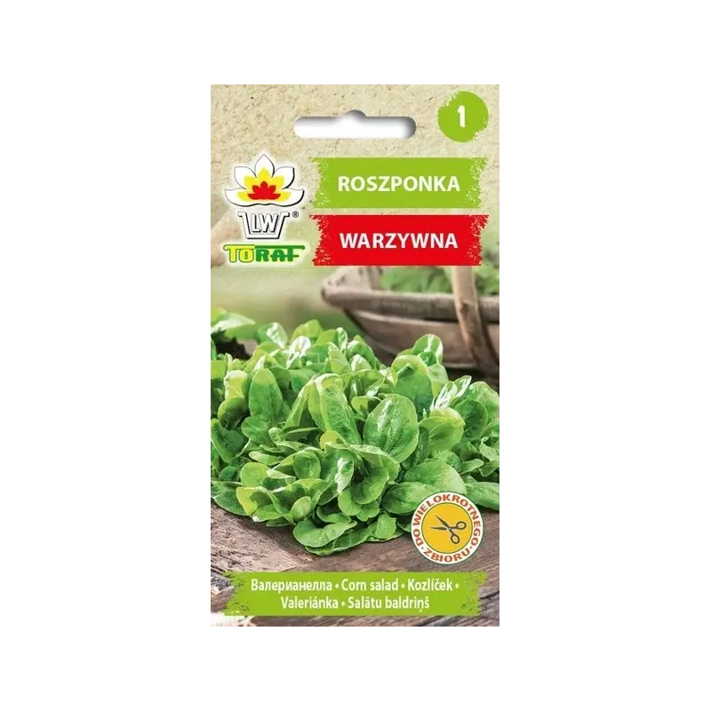 Toraf 1g Roszponka Polna Nasiona warzyw Odmiana zimująca Delikatna Źródło witamin