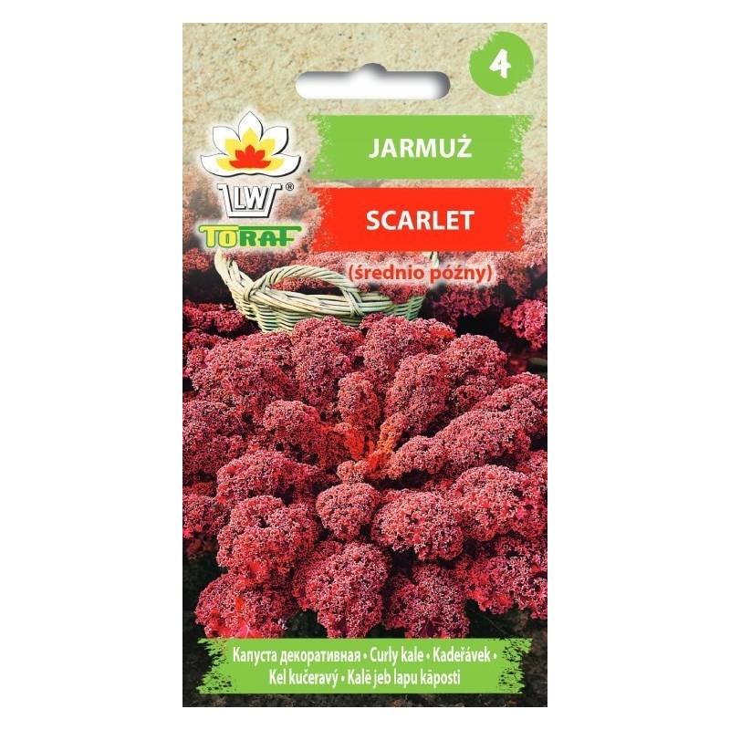 Toraf 1g Jarmuż Scarlet Nasiona warzyw źródło witamin surówki sałatki