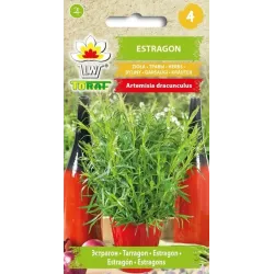 Toraf 0,1g Estragon Nasiona ziół przyprawy roślina lecznicza naturalny zamiast soli