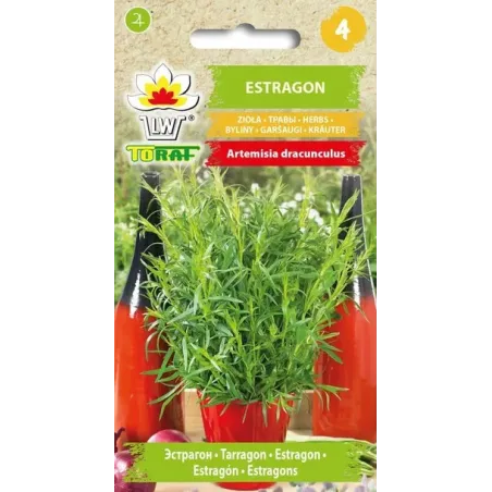 Toraf 0,1g Estragon Nasiona ziół przyprawy roślina lecznicza naturalny zamiast soli
