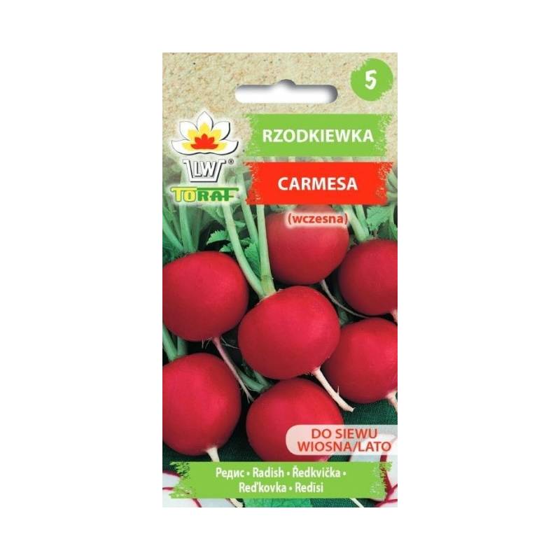 Toraf 10g Rzodkiewka Carmesa Nasiona warzyw Odmiana wczesna czerwona duża Łagodna