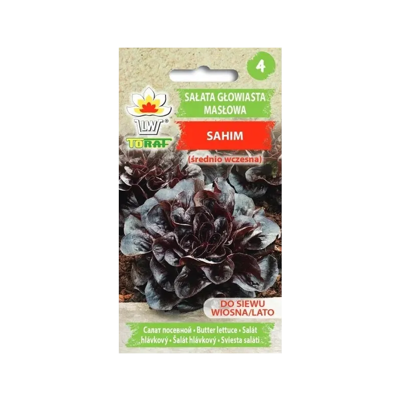 Toraf 1g Sałata Sahim Masłowa Czerwona Nasiona warzyw odmiana średniowczesna