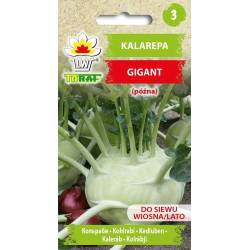 Toraf 2g Kalarepa Gigant Późna odmiana Nasiona warzyw bardzo duża przechowywanie przetwórstwo