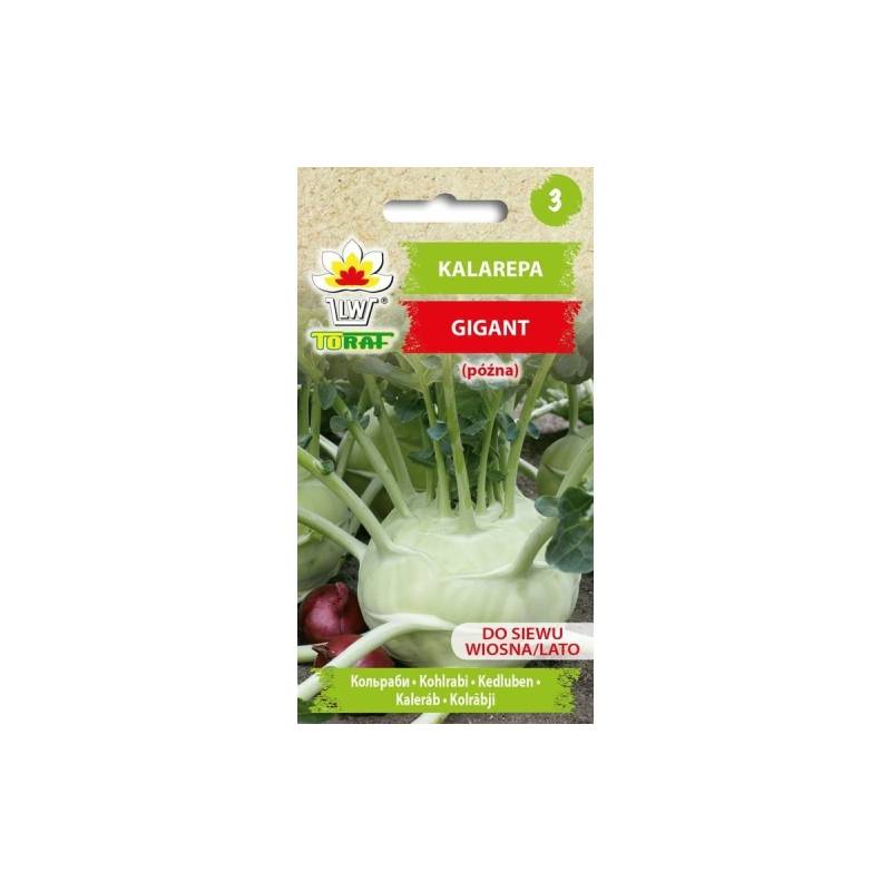 Toraf 2g Kalarepa Gigant Późna odmiana Nasiona warzyw bardzo duża przechowywanie przetwórstwo