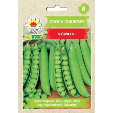 Toraf 50g Groch Siewny Cukrowy Iłówiecki Nasiona warzyw odmiana wczesna niezwykle plenna