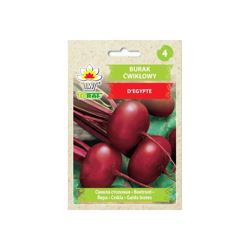 Toraf 10g Burak ćwikłowy D'Egypte Egipski Nasiona przechowywanie konserwowanie przetwórstwo