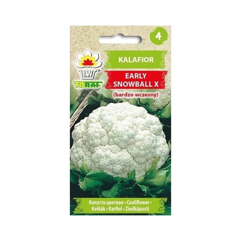 Toraf 1g Kalafior Early Snowball X Nasiona warzyw Odmiana bardzo wczesna śnieżnobiała Duże rozety
