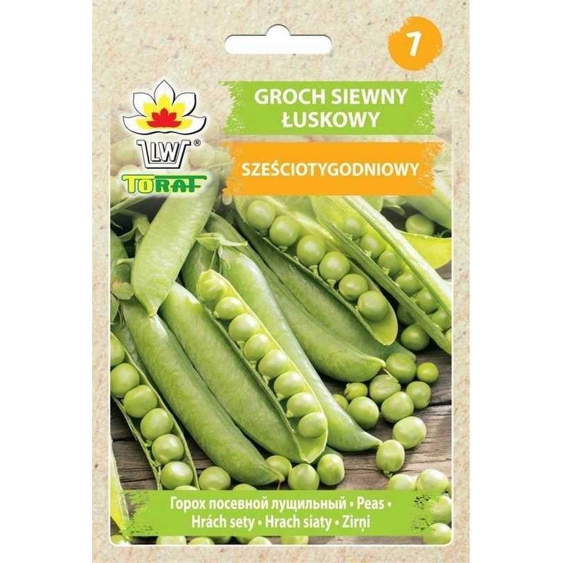 Toraf 50g Groch Siewny Łuskowy Sześciotygodniowy Nasiona warzyw odporny na choroby