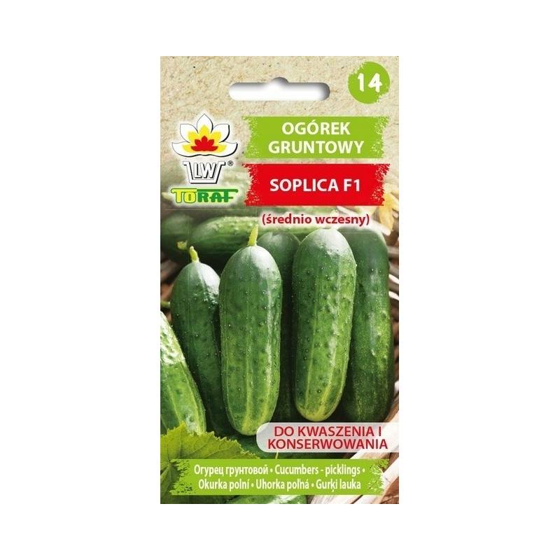 Toraf 5g Ogórek Soplica F1 Nasiona warzyw Odmiana średniowczesna gruntowa Dobre plonowanie Konserwowanie