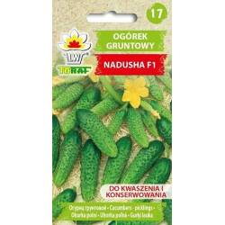 Toraf 1g Ogórek Nadusha Gruntowy Wczesny Nasiona warzyw duży plon kwaszenie konserwowanie