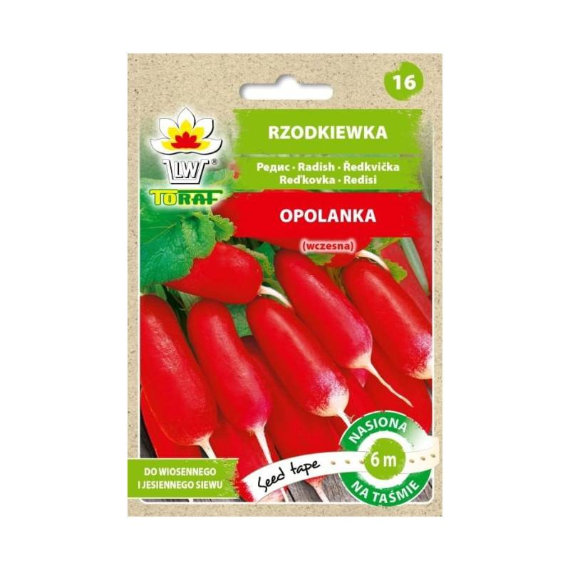 Toraf 6m Rzodkiewka Opolanka Nasiona warzyw na taśmie Siew wiosna jesień Odmiana podłużna