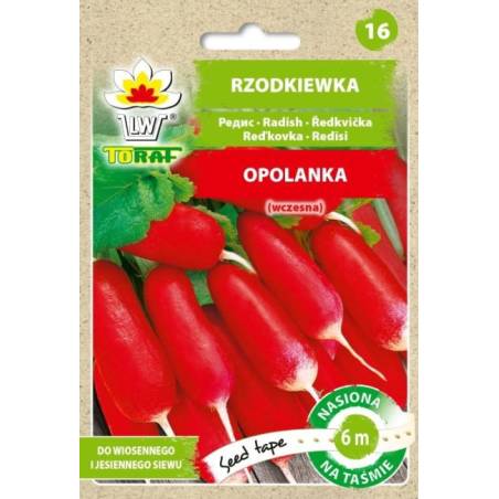 Toraf 6m Rzodkiewka Opolanka Nasiona warzyw na taśmie Siew wiosna jesień Odmiana podłużna