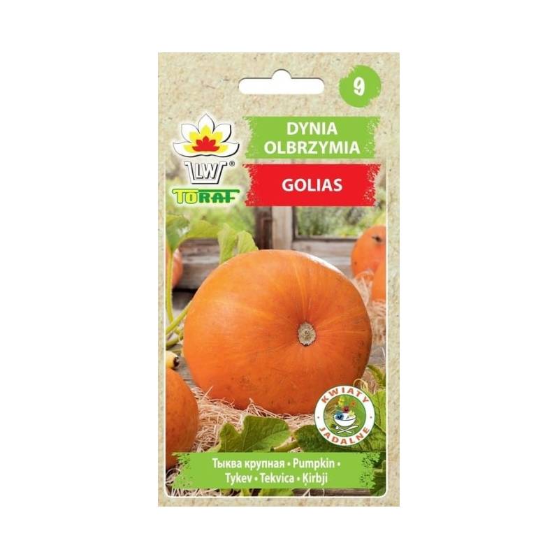 Toraf 4g Dynia Golias Olbrzymia Nasiona warzyw Odmiana bardzo plenna Owalne słodkawe owoce