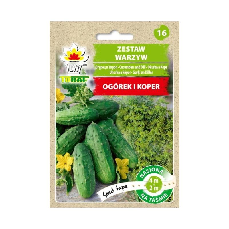 Toraf 6m Taśma Nasienna Ogórek Parys + Koper Krezus Nasiona warzyw ziół na taśmie zestaw do kiszenia
