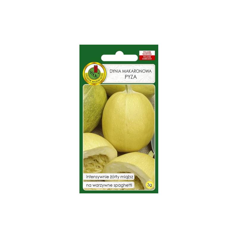 PNOS 3g Dynia zwyczajna makaronowa Pyza Nasiona warzyw Ciekawy miąższ Odporna