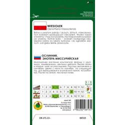 PNOS 0,3g Wiesiołek żółty Nasiona kwiatów Opalizujące kwiaty Bylina Wieloletnia