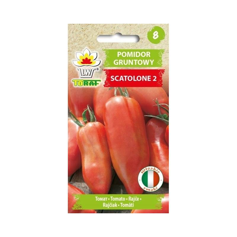 Toraf 0,5g Pomidor Scatolone 2 Gruntowy Nasiona warzyw odmiana wysoka na ketchup przetwory