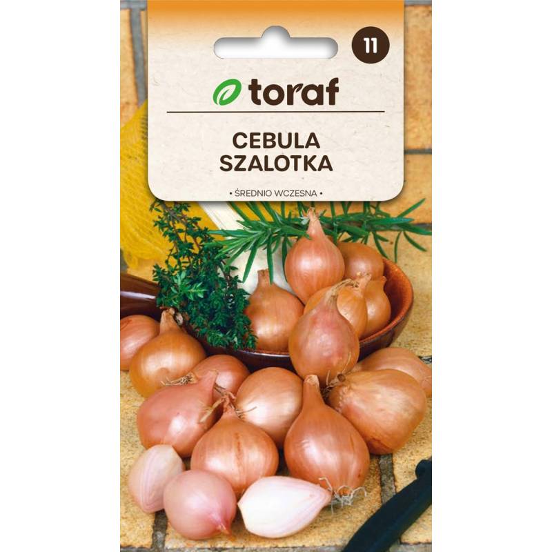 Toraf 20szt. Cebula Szalotka Nasiona Warzyw Kulista Cebula Średnio Późna