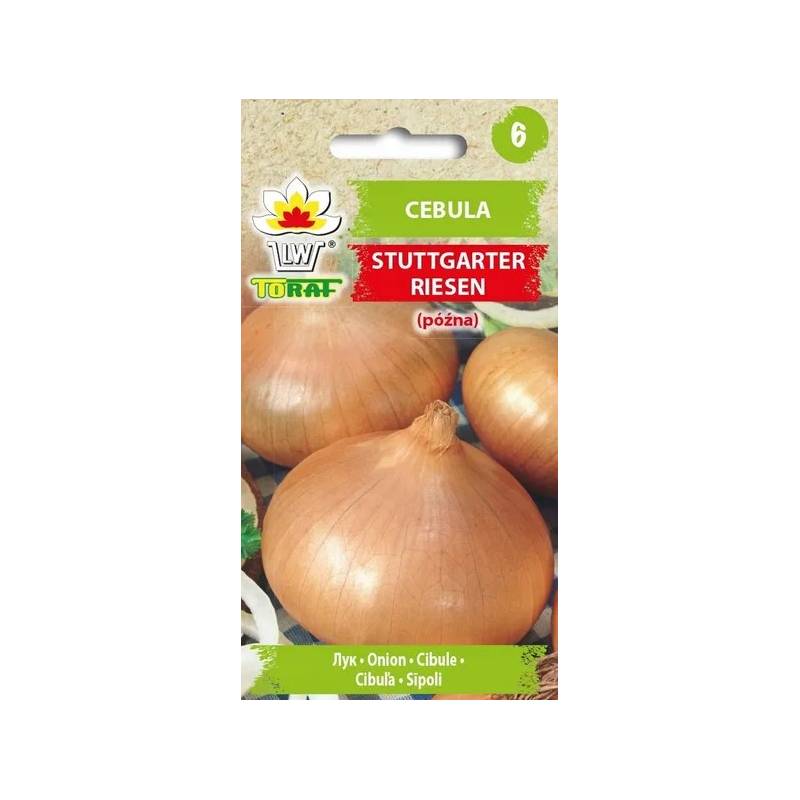 Toraf 3g Cebula Stuttgarter Riesen Nasiona Odmiana Późna Żółta Lekko Ostra do Przechowywania
