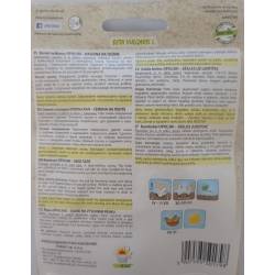 Toraf 6m Burak Ćwikłowy Opolski Nasiona na Taśmie Bardzo Plenny Długi Duża Zawartość Betaniny