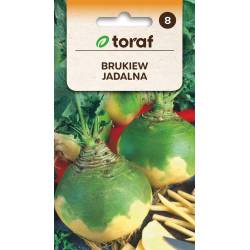 Toraf 10g Brukiew Jadalna Nasiona warzyw Odmiana średnio wczesna Plenna Długie przechowywanie