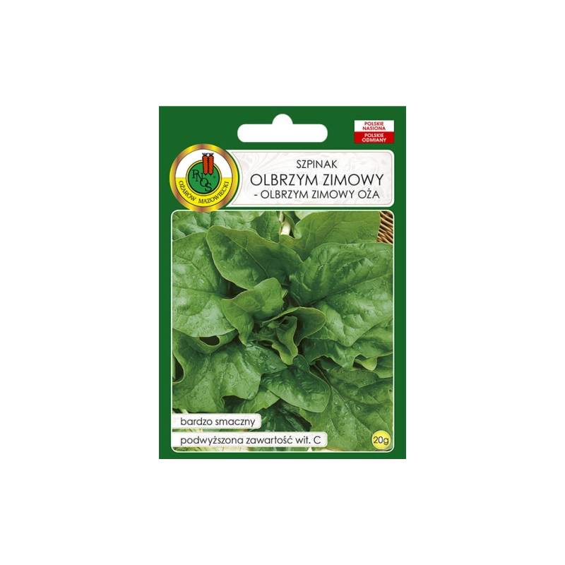 PNOS 20g Szpinak Olbrzym Zimowy OŻA Nasiona do Siewu Zimowego Wysoka Zawartość Witaminy C do Bezpośredniego Spożycia Mrożenia