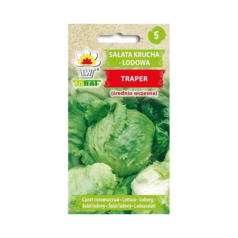 Toraf 1g Sałata Traper Lodowa Nasiona warzyw odmiana Głowiasta Krucha