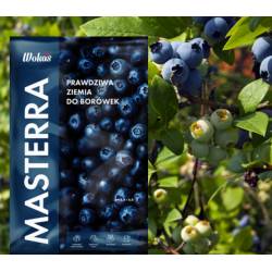 Wokas 50l Ziemia Prawdziwa do borówek Masterra Czarnoziem do kwaśnolubnych