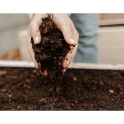 Wokas 50l Ziemia Prawdziwa do borówek Masterra Czarnoziem do kwaśnolubnych