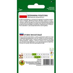 PNOS 0,1g Dziewanna Fioletowa Nasiona kwiatów Roślina Dwuletnia Rabaty Piękne Kwiaty