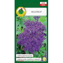 PNOS 0,1g Heliotrop Nasiona kwiatów Jednoroczne Intensywny Zapach Rabaty Balkony