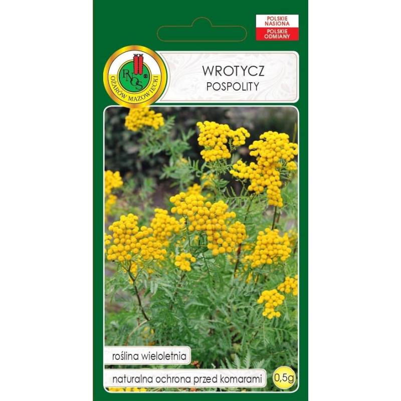 PNOS 0,5g Wrotycz Pospolity Nasiona kwiatów Bylina Aromatyczna Odporna na Mróz