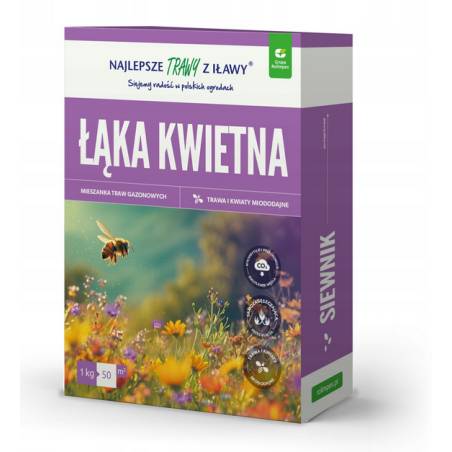 Rolimpex 1kg Łąka Kwietna Nasiona z Iławy Naturalistyczny Ogród Pełen Miododajnych Kwiatów