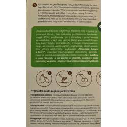 Rolimpex 1kg Trawa Gazon Dekoracyjny Nasiona z Iławy Elegancki Trawnik Wolnostojący