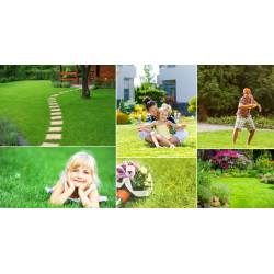 Rolimpex 1kg Trawa Gazon Dekoracyjny Nasiona z Iławy Elegancki Trawnik Wolnostojący