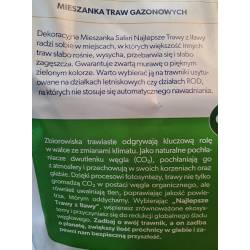 Rolimpex 5kg Trawa Safari Nasiona Iława Trawnik na Miejsca Suche i Piaszczyste