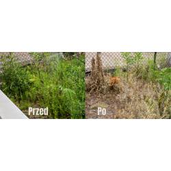 Agropak 20ml Agrosar 360SL Herbicyd Totalny Glifosat zwalcza Chwasty Perz Nieselektywny