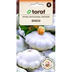 Toraf 4g Dynia Patison Disco Biały Nasiona Sprawdzona Uprawa Przetwory