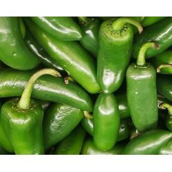 Toraf 0,5g Papryka Ostra Jalapeno Ruben typu Chili Nasiona warzyw Odmiana średnio wczesna Dużo witaminy C Pikantny smak