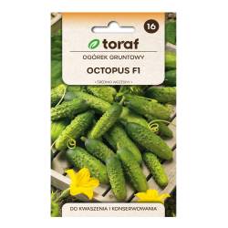 Toraf 1g Ogórek Octopus F1 Nasiona warzyw Gruntowy Średniowczesny Konserwowy