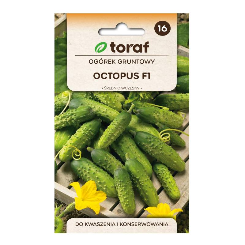 Toraf 1g Ogórek Octopus F1 Nasiona warzyw Gruntowy Średniowczesny Konserwowy